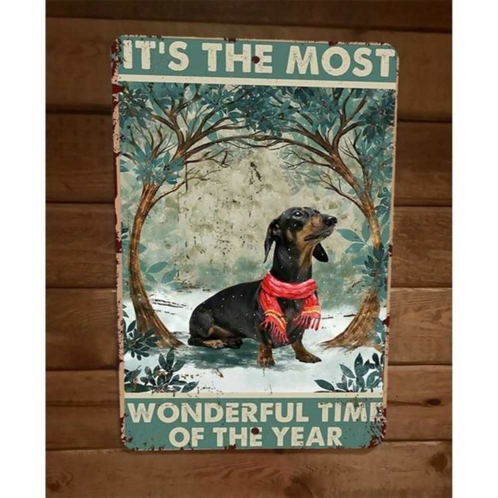 Its the Most Wonderful Time of The Year Wiener Dog‎ Animal 8x12 Metal Wall Sign